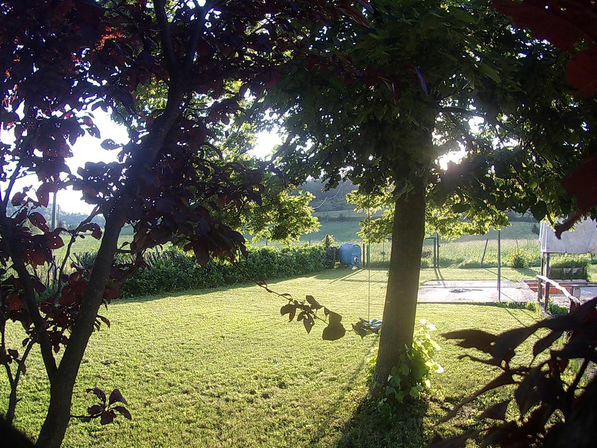 مبيت وإفطار Gavi/Alice Open Space المظهر الخارجي الصورة