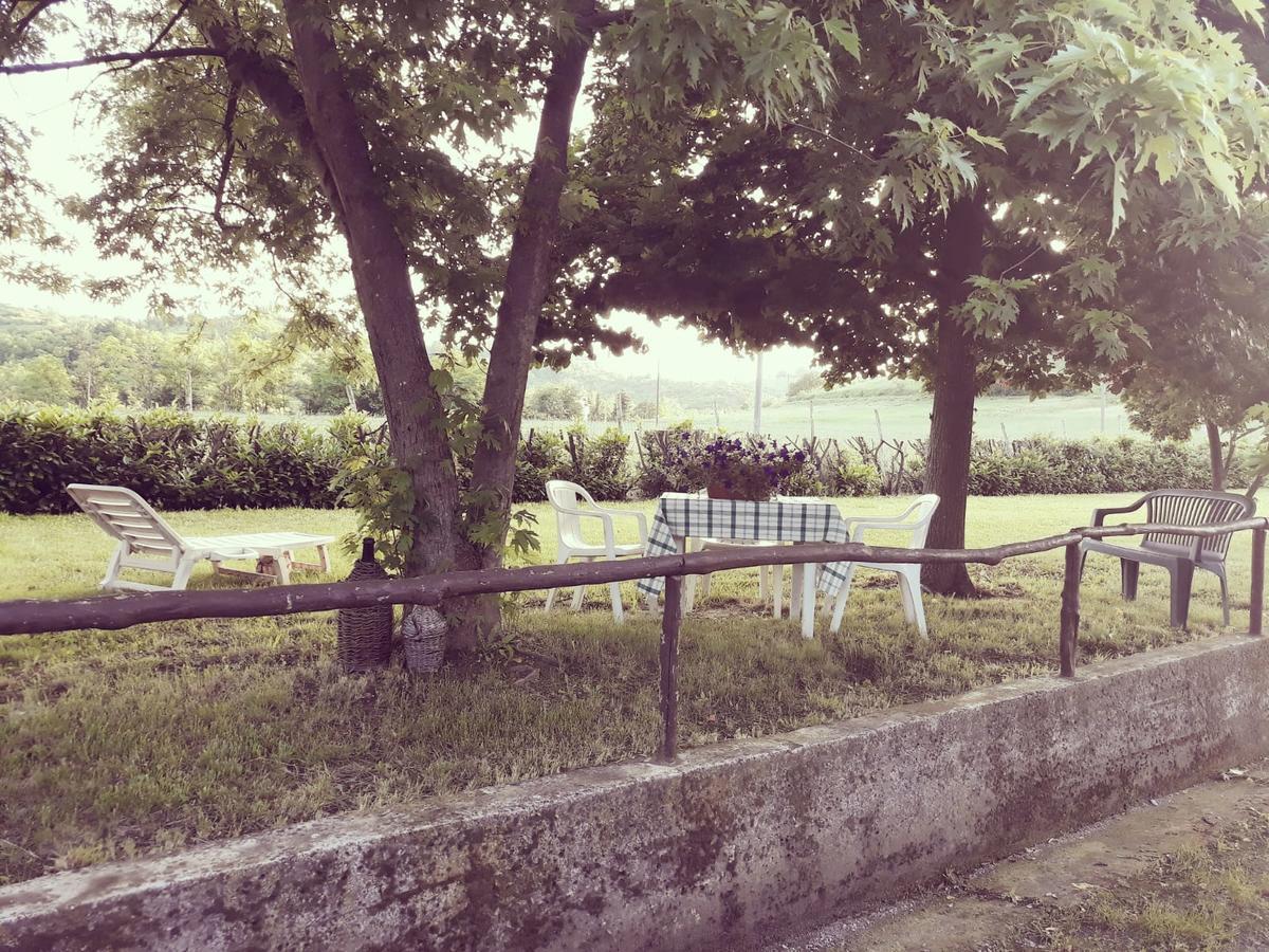 مبيت وإفطار Gavi/Alice Open Space المظهر الخارجي الصورة